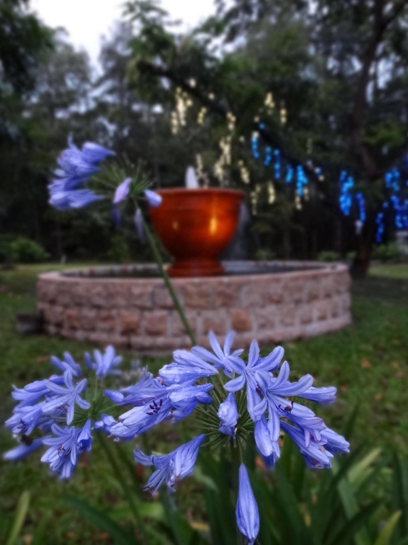 Noosa Valley Manor B&B Doonan Exterior photo